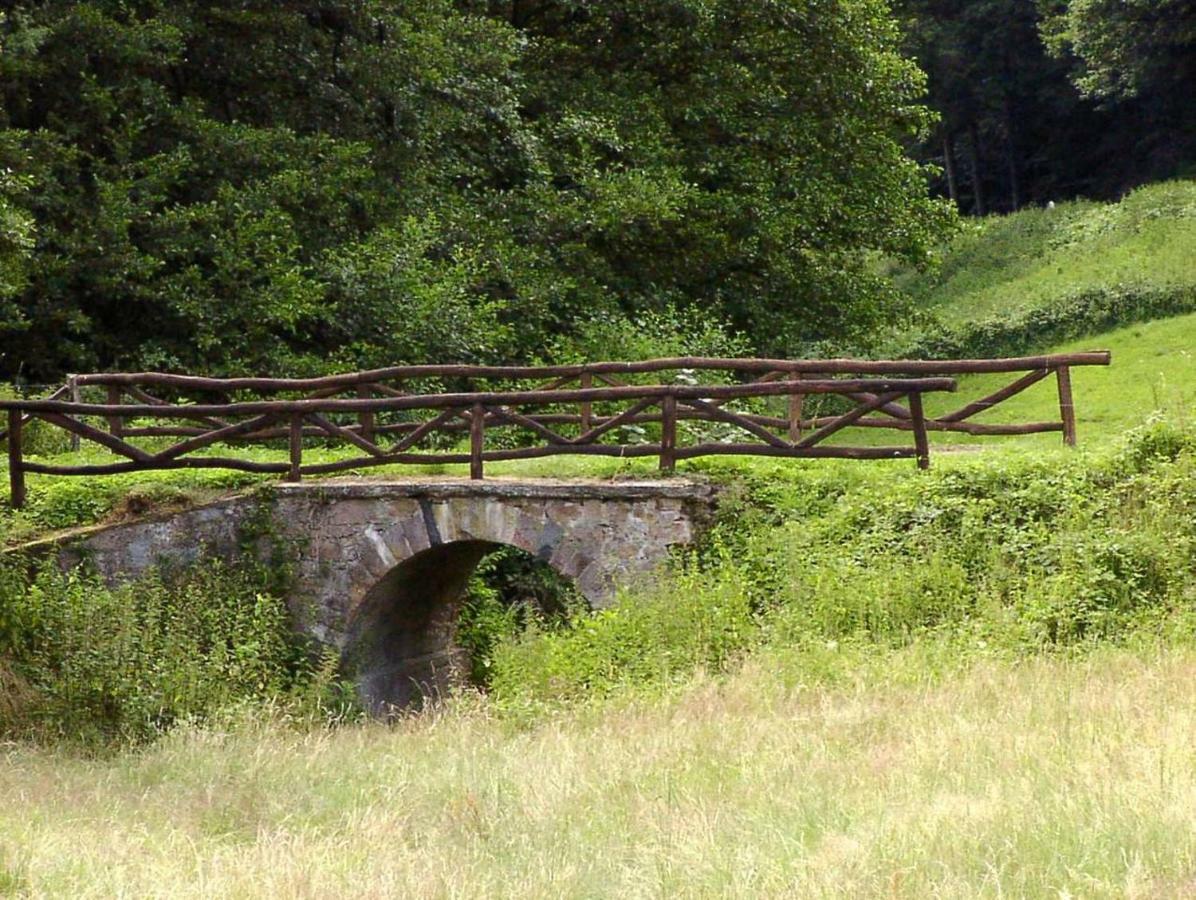 Schoenblick - Gemuetlich Uebernachten! Ober-Hambach Esterno foto
