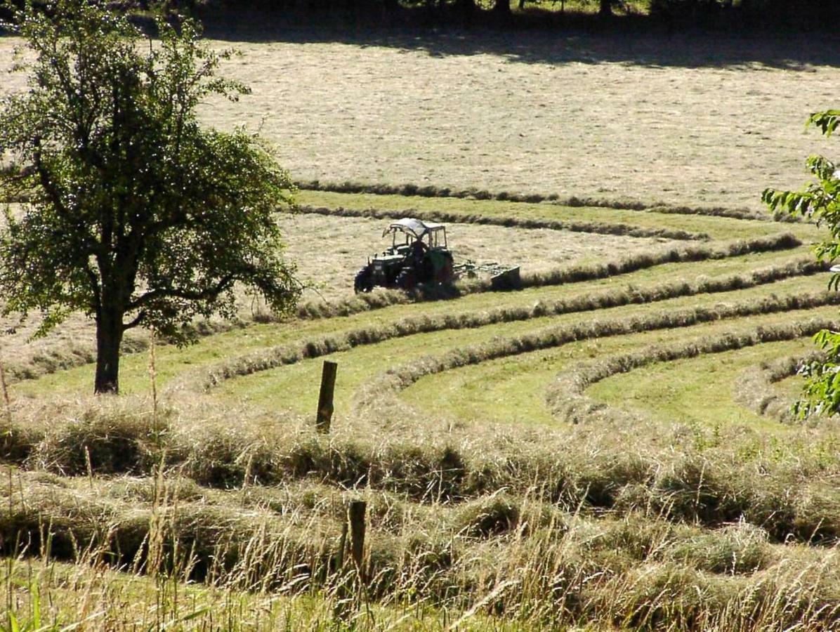 Schoenblick - Gemuetlich Uebernachten! Ober-Hambach Esterno foto